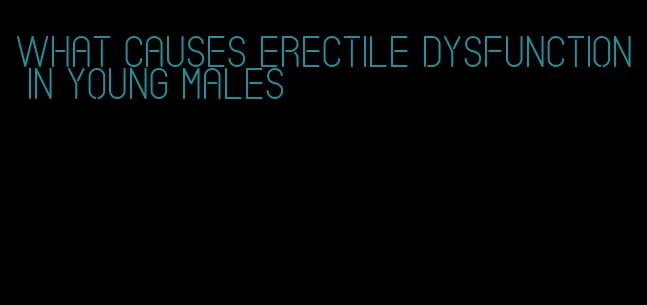 what causes erectile dysfunction in young males